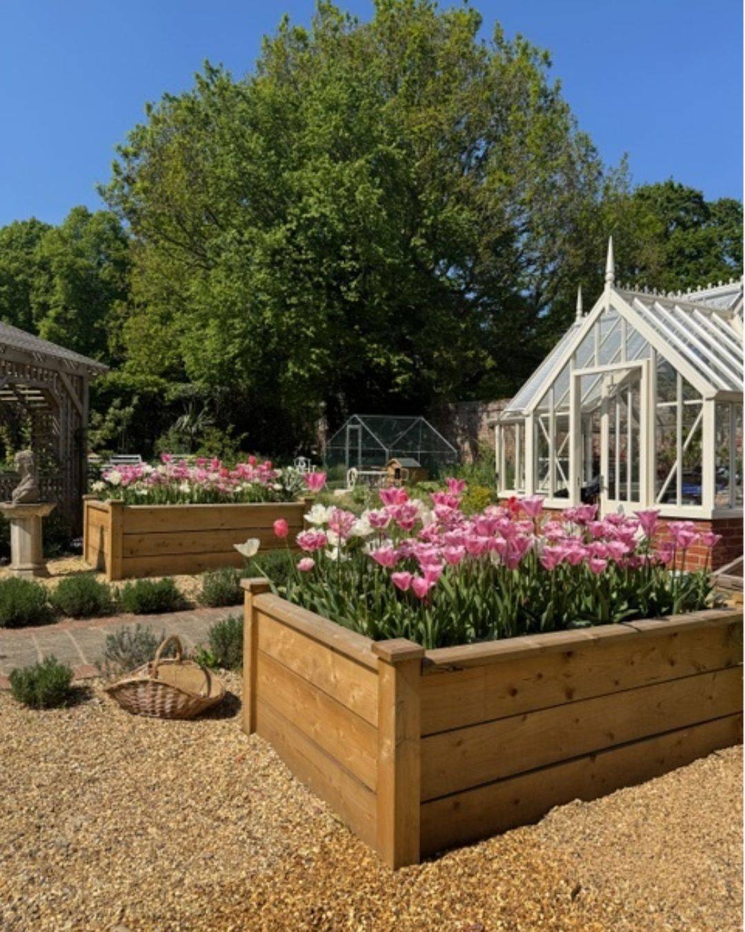 Michelle Jenkins Blog 4